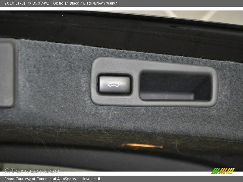 Obsidian Black / Black/Brown Walnut 2010 Lexus RX 350 AWD