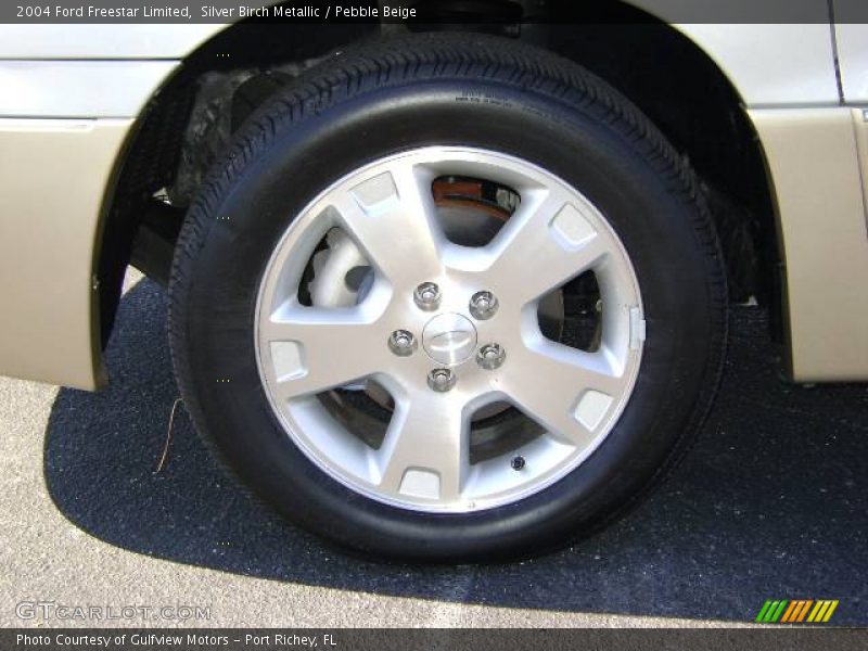 Silver Birch Metallic / Pebble Beige 2004 Ford Freestar Limited