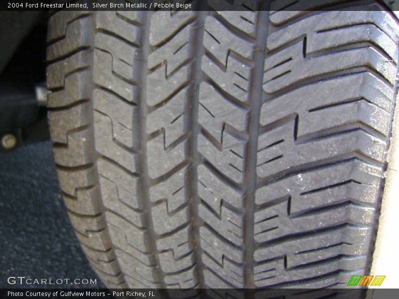 Silver Birch Metallic / Pebble Beige 2004 Ford Freestar Limited