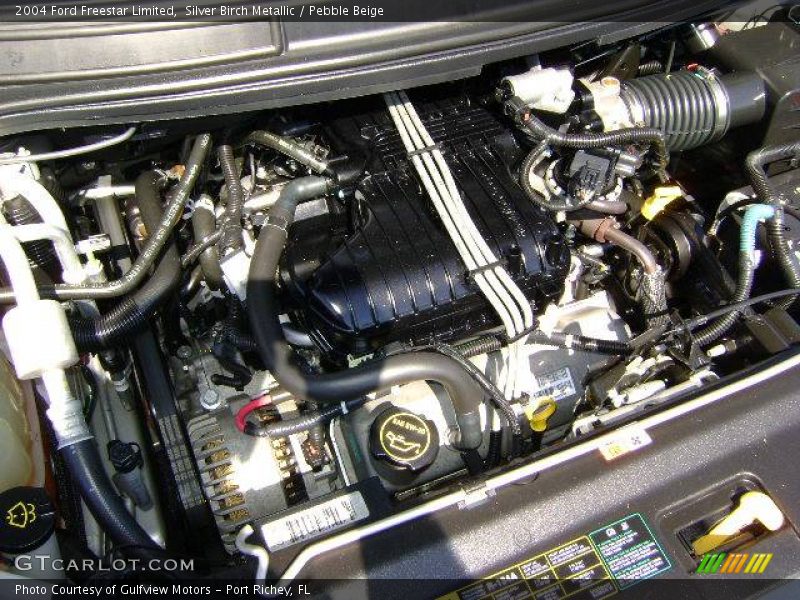 Silver Birch Metallic / Pebble Beige 2004 Ford Freestar Limited