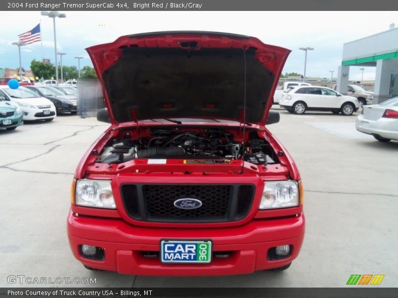 Bright Red / Black/Gray 2004 Ford Ranger Tremor SuperCab 4x4