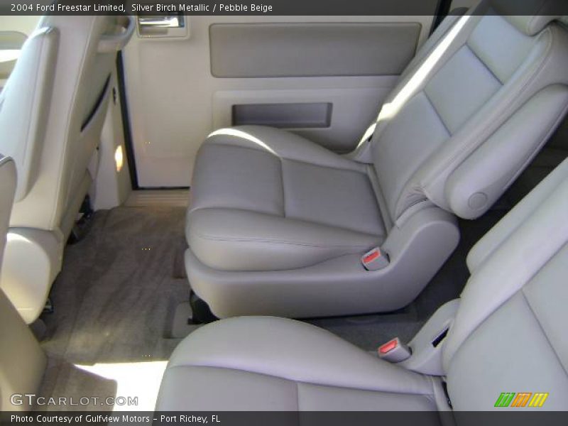 Silver Birch Metallic / Pebble Beige 2004 Ford Freestar Limited