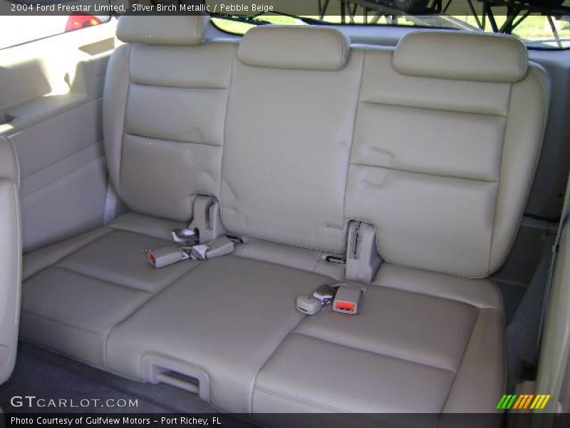 Silver Birch Metallic / Pebble Beige 2004 Ford Freestar Limited