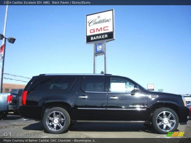 Black Raven / Ebony/Ebony 2009 Cadillac Escalade ESV AWD