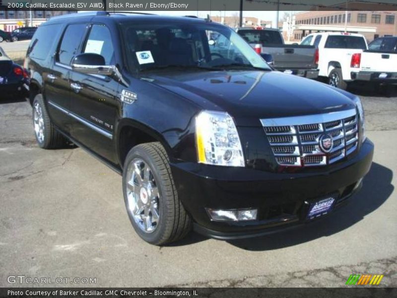 Black Raven / Ebony/Ebony 2009 Cadillac Escalade ESV AWD