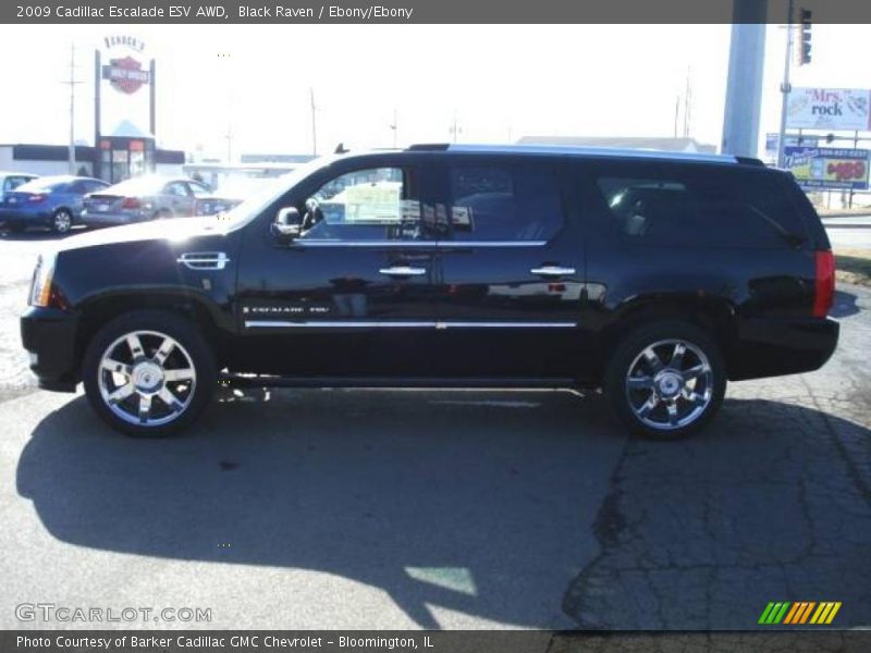 Black Raven / Ebony/Ebony 2009 Cadillac Escalade ESV AWD