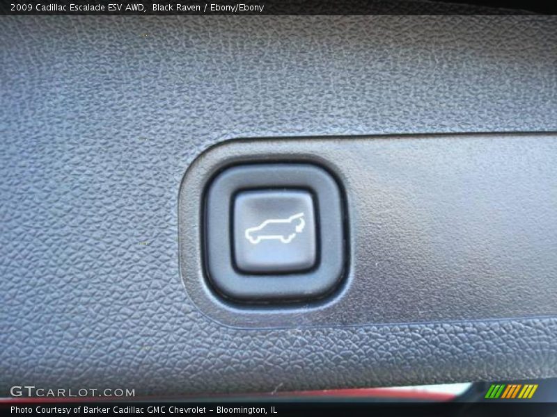 Black Raven / Ebony/Ebony 2009 Cadillac Escalade ESV AWD