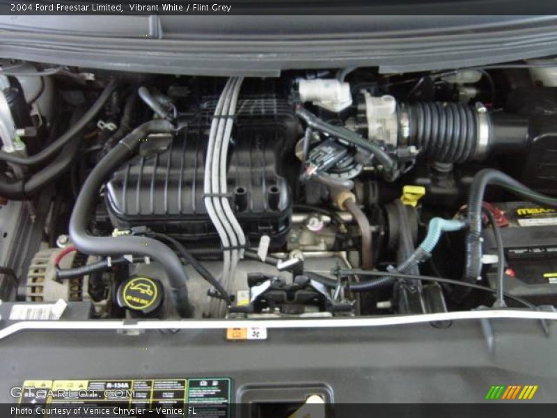 Vibrant White / Flint Grey 2004 Ford Freestar Limited