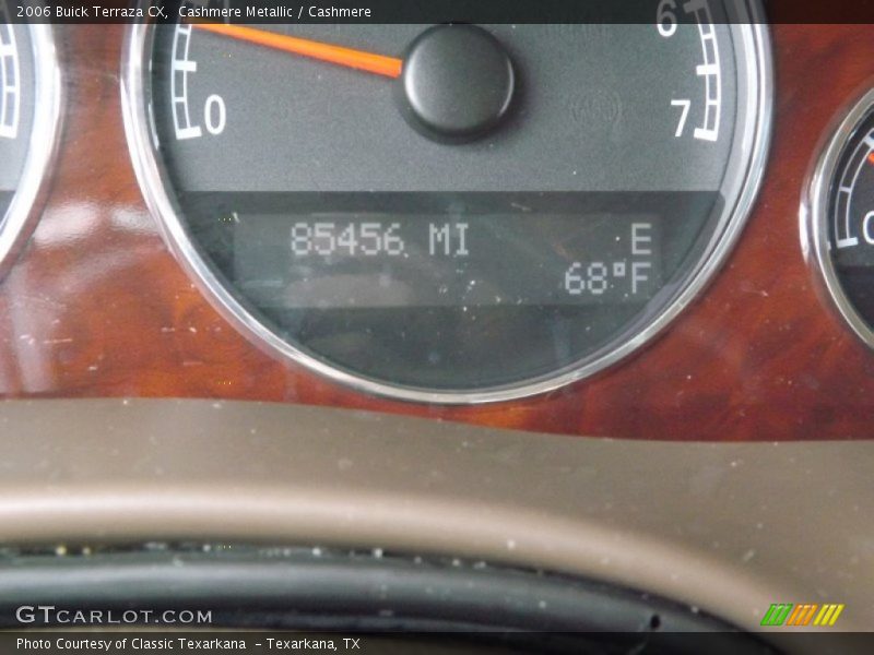 Cashmere Metallic / Cashmere 2006 Buick Terraza CX