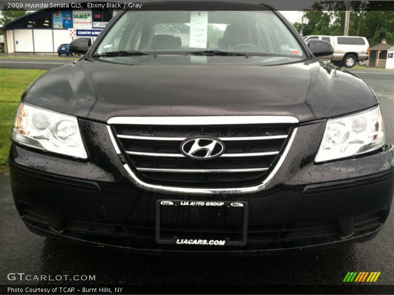 Ebony Black / Gray 2009 Hyundai Sonata GLS