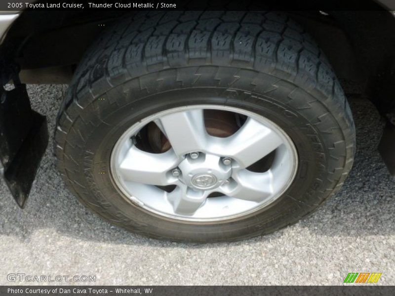 Thunder Cloud Metallic / Stone 2005 Toyota Land Cruiser