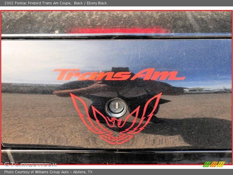 Black / Ebony Black 2002 Pontiac Firebird Trans Am Coupe