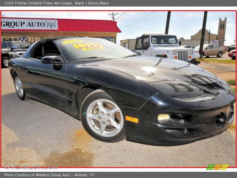 Black / Ebony Black 2002 Pontiac Firebird Trans Am Coupe