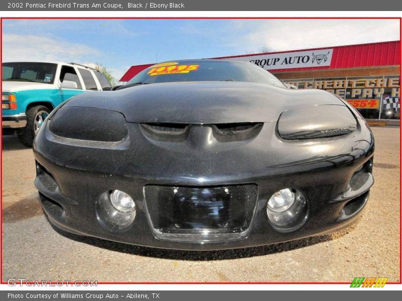 Black / Ebony Black 2002 Pontiac Firebird Trans Am Coupe