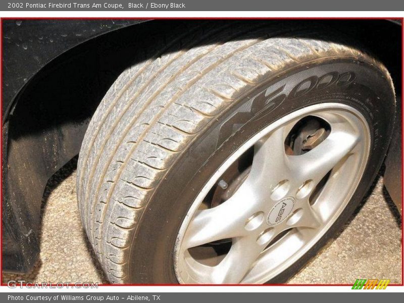 Black / Ebony Black 2002 Pontiac Firebird Trans Am Coupe