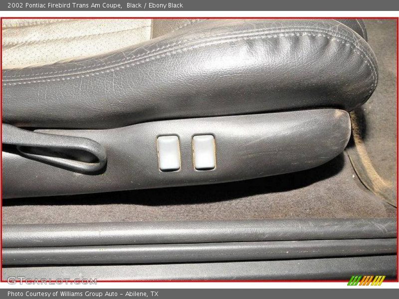 Black / Ebony Black 2002 Pontiac Firebird Trans Am Coupe