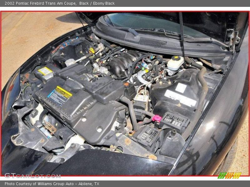 Black / Ebony Black 2002 Pontiac Firebird Trans Am Coupe