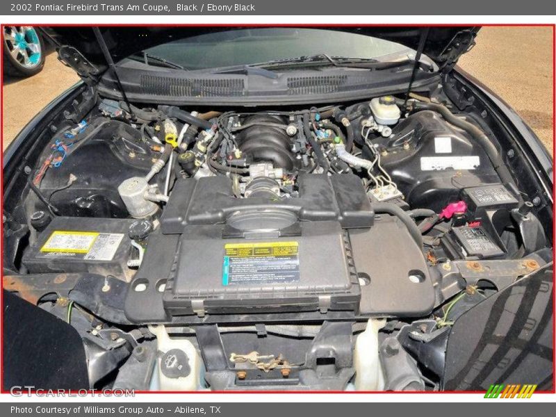 Black / Ebony Black 2002 Pontiac Firebird Trans Am Coupe