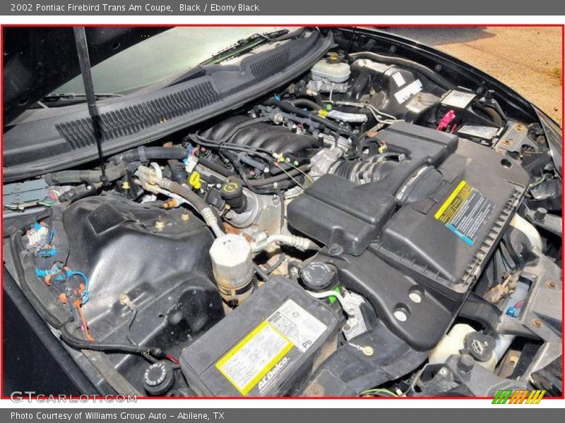 Black / Ebony Black 2002 Pontiac Firebird Trans Am Coupe
