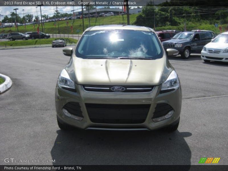 Ginger Ale Metallic / Charcoal Black 2013 Ford Escape SEL 1.6L EcoBoost 4WD