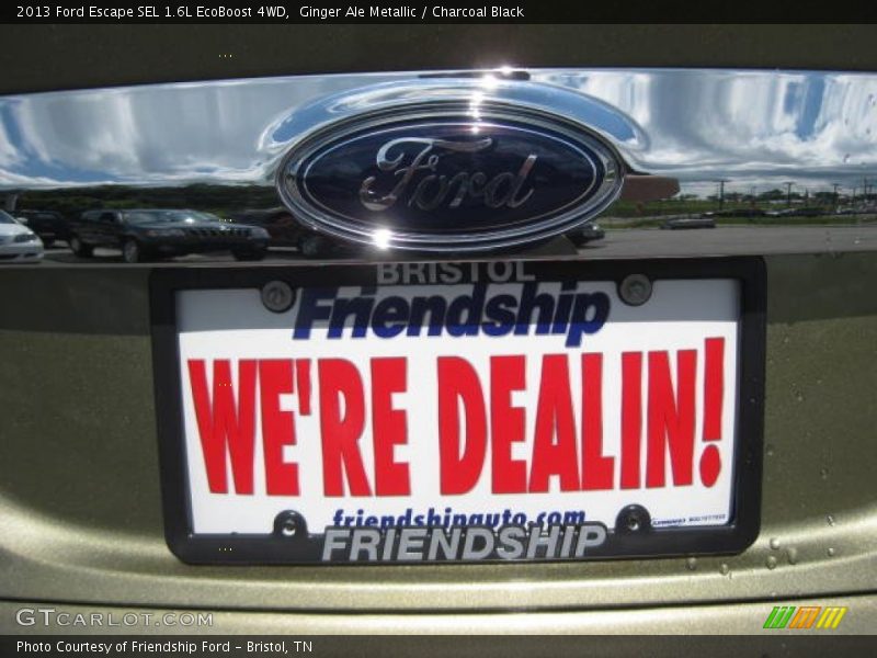 Ginger Ale Metallic / Charcoal Black 2013 Ford Escape SEL 1.6L EcoBoost 4WD