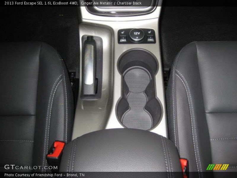 Ginger Ale Metallic / Charcoal Black 2013 Ford Escape SEL 1.6L EcoBoost 4WD