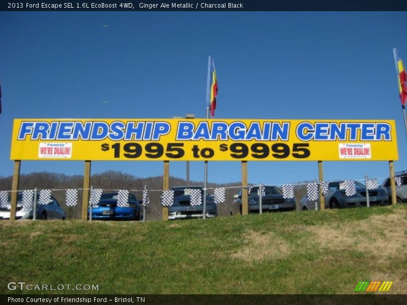 Ginger Ale Metallic / Charcoal Black 2013 Ford Escape SEL 1.6L EcoBoost 4WD