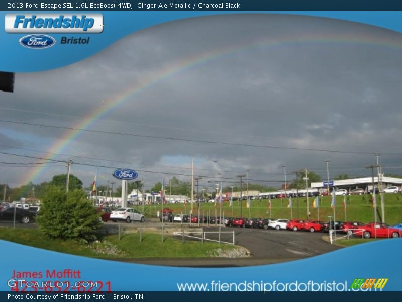 Ginger Ale Metallic / Charcoal Black 2013 Ford Escape SEL 1.6L EcoBoost 4WD