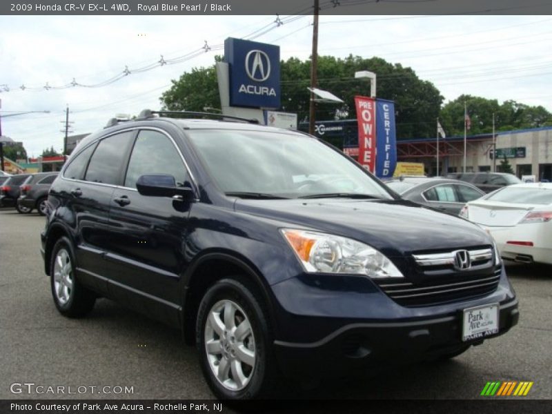 Royal Blue Pearl / Black 2009 Honda CR-V EX-L 4WD