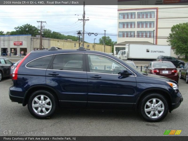Royal Blue Pearl / Black 2009 Honda CR-V EX-L 4WD
