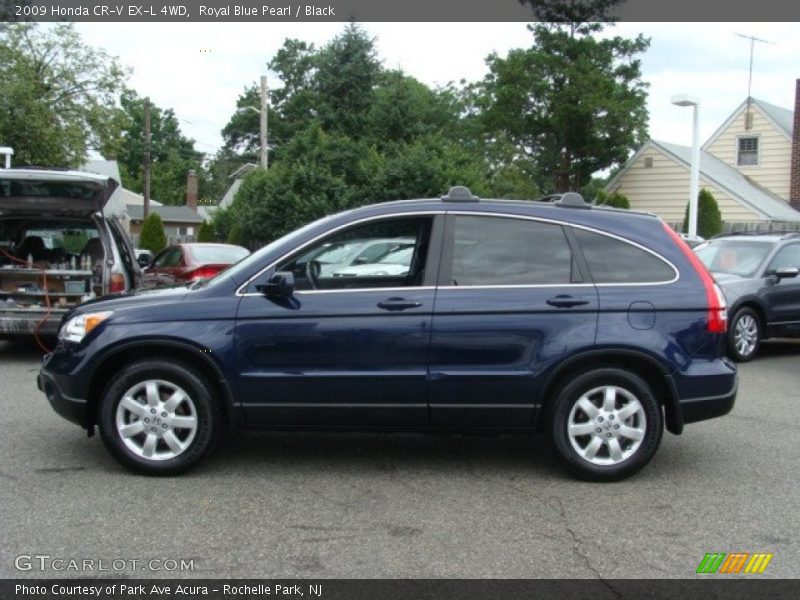 Royal Blue Pearl / Black 2009 Honda CR-V EX-L 4WD