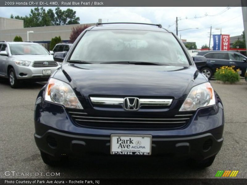 Royal Blue Pearl / Black 2009 Honda CR-V EX-L 4WD