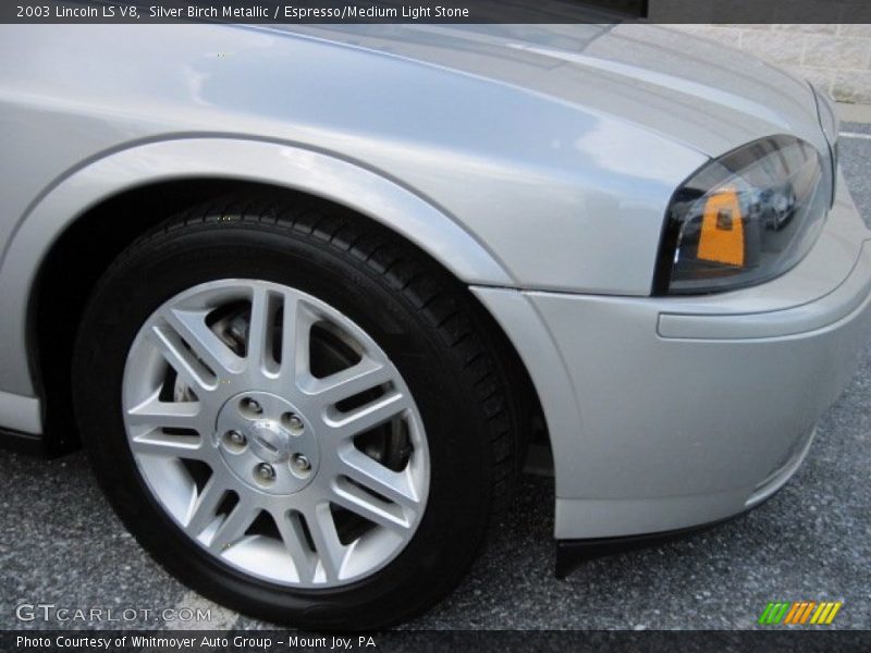 Silver Birch Metallic / Espresso/Medium Light Stone 2003 Lincoln LS V8