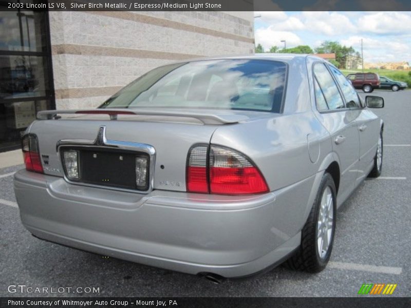 Silver Birch Metallic / Espresso/Medium Light Stone 2003 Lincoln LS V8