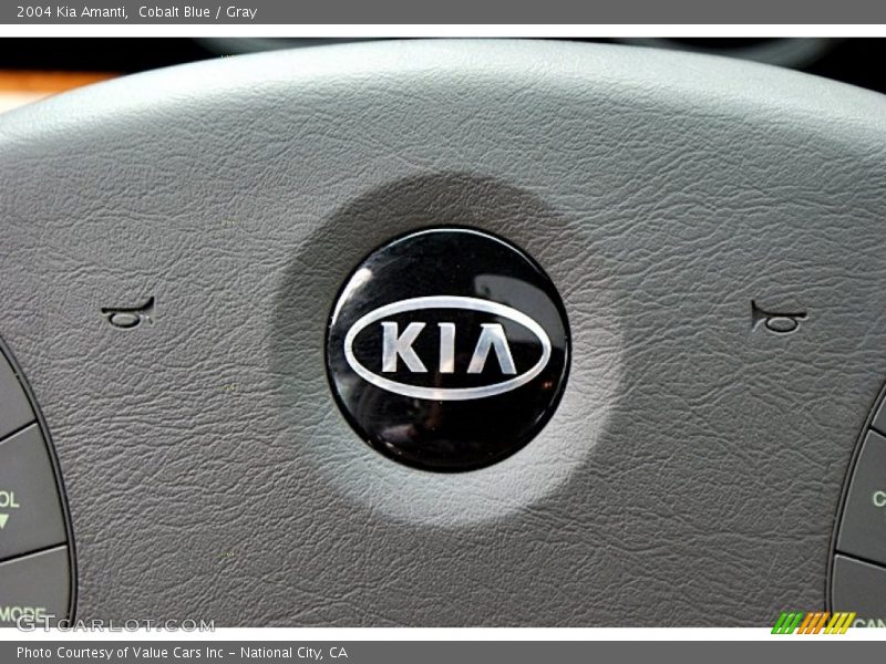 Cobalt Blue / Gray 2004 Kia Amanti