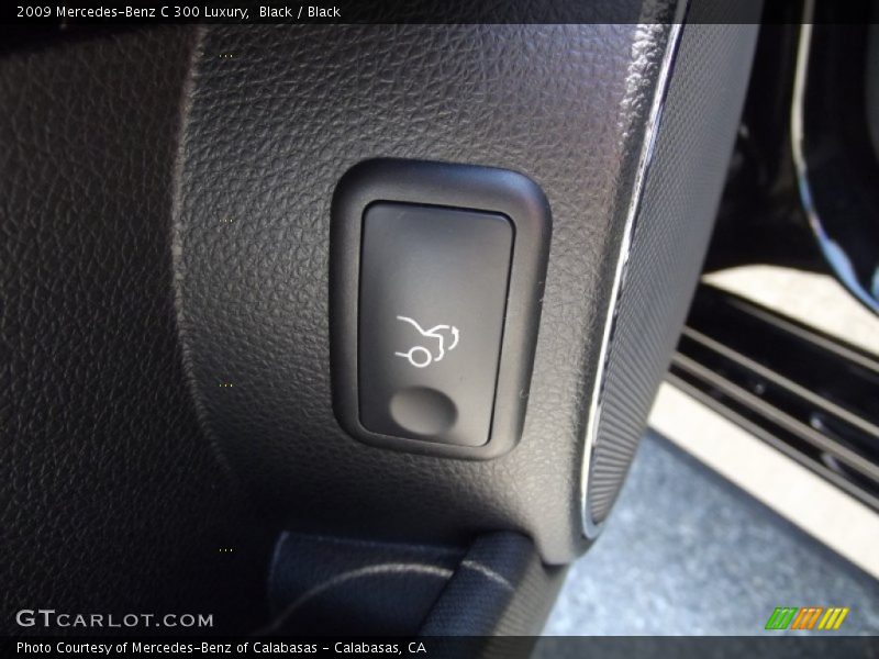 Black / Black 2009 Mercedes-Benz C 300 Luxury