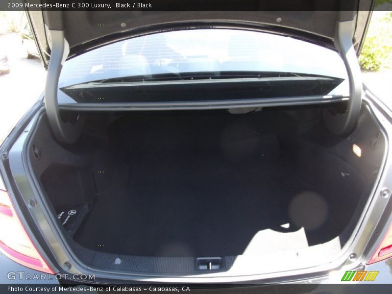 Black / Black 2009 Mercedes-Benz C 300 Luxury