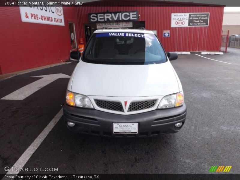 Summit White / Gray 2004 Pontiac Montana