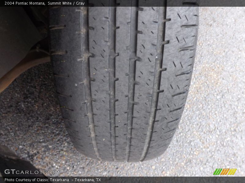 Summit White / Gray 2004 Pontiac Montana