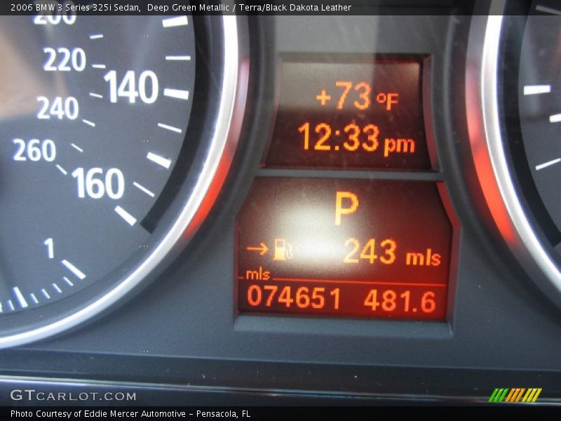 Deep Green Metallic / Terra/Black Dakota Leather 2006 BMW 3 Series 325i Sedan