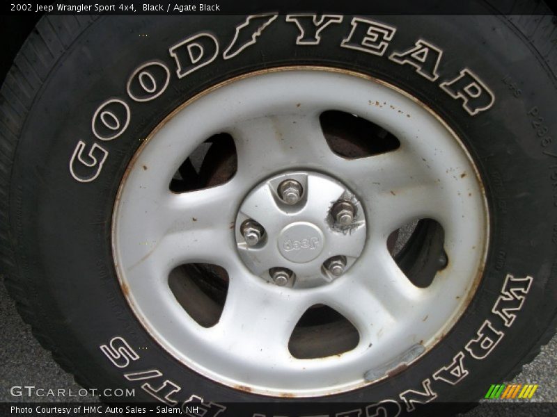 Black / Agate Black 2002 Jeep Wrangler Sport 4x4