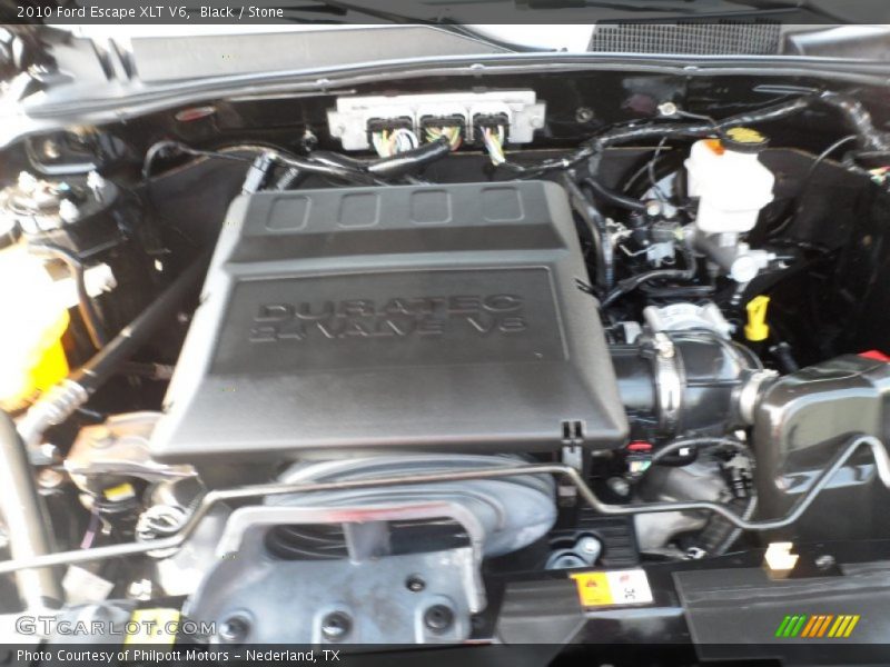 Black / Stone 2010 Ford Escape XLT V6