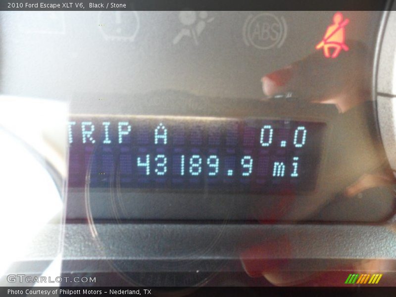 Black / Stone 2010 Ford Escape XLT V6