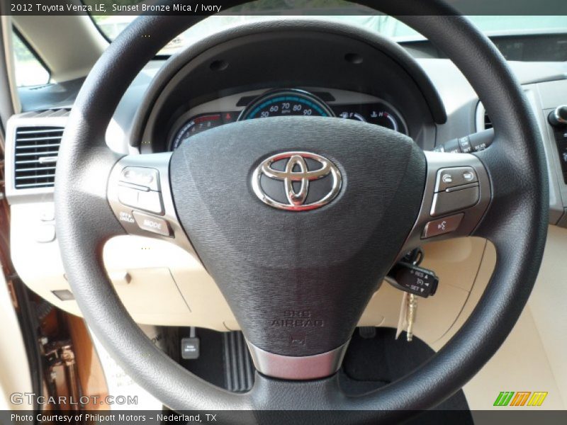 2012 Venza LE Steering Wheel