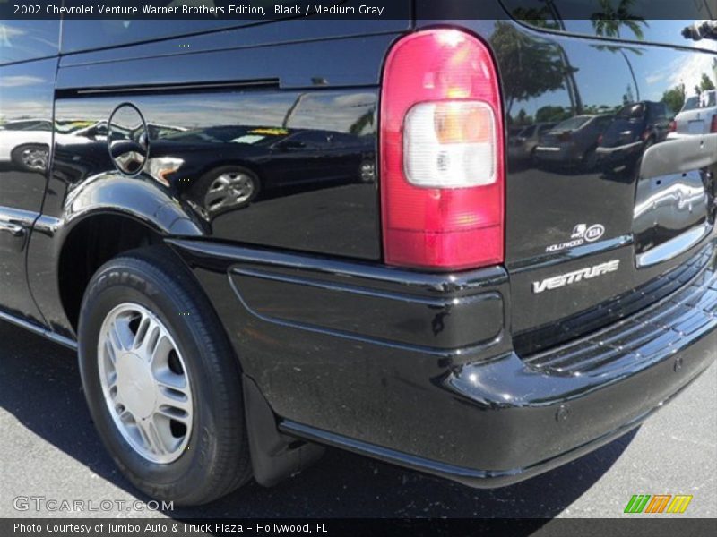 Black / Medium Gray 2002 Chevrolet Venture Warner Brothers Edition
