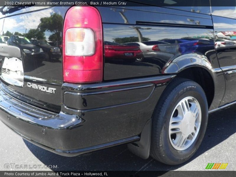 Black / Medium Gray 2002 Chevrolet Venture Warner Brothers Edition