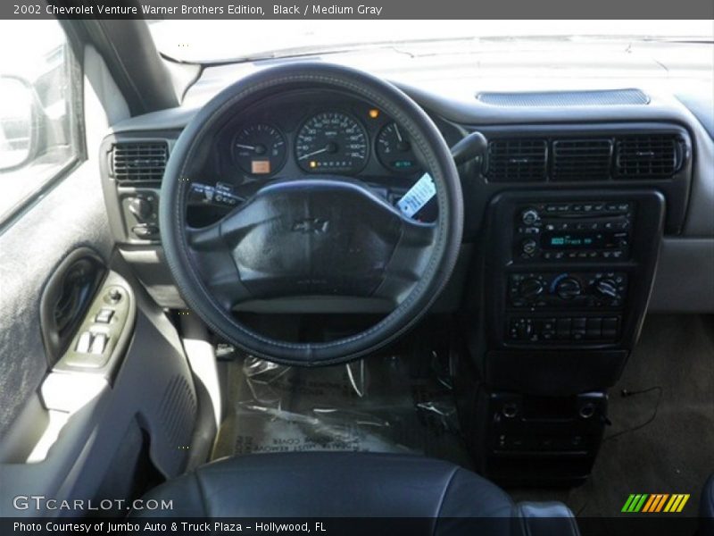 Black / Medium Gray 2002 Chevrolet Venture Warner Brothers Edition