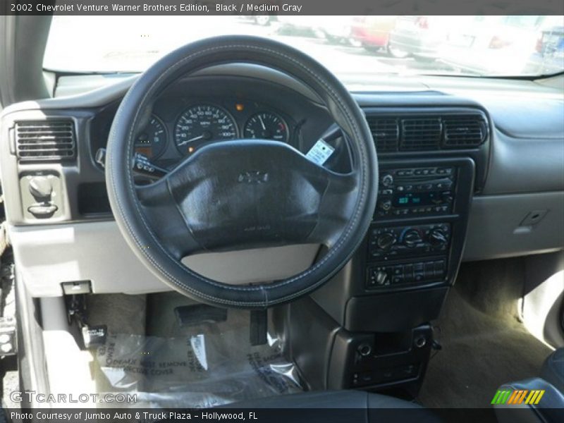 Black / Medium Gray 2002 Chevrolet Venture Warner Brothers Edition