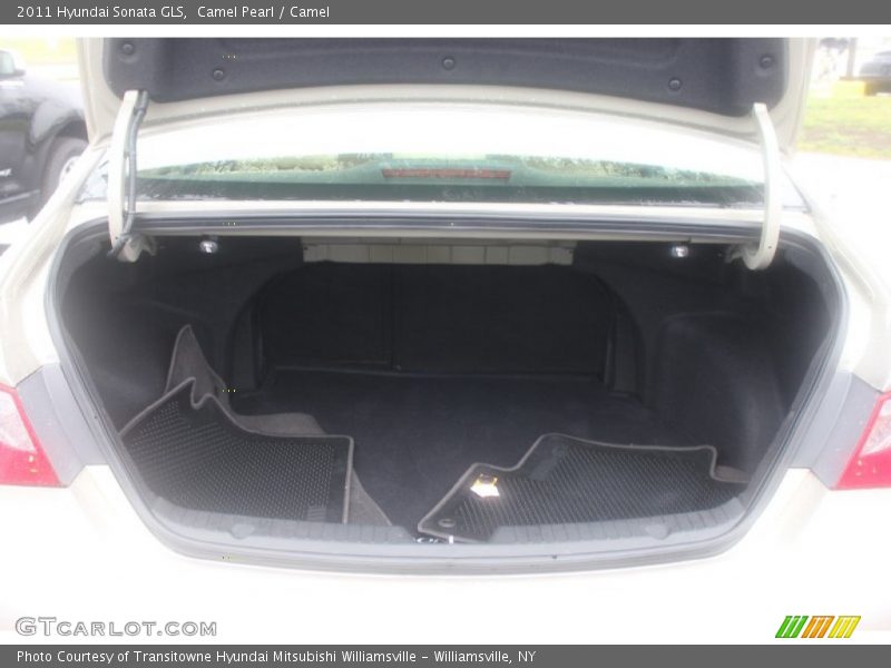 Camel Pearl / Camel 2011 Hyundai Sonata GLS