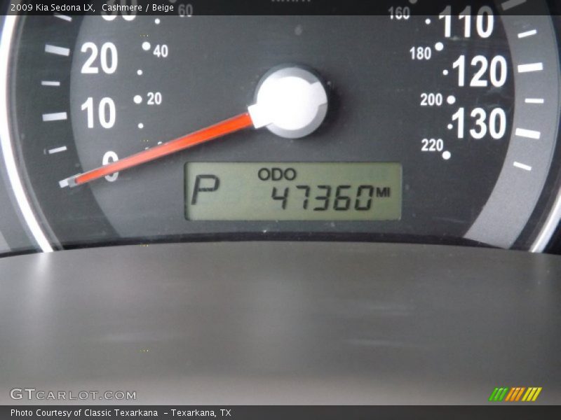 Cashmere / Beige 2009 Kia Sedona LX